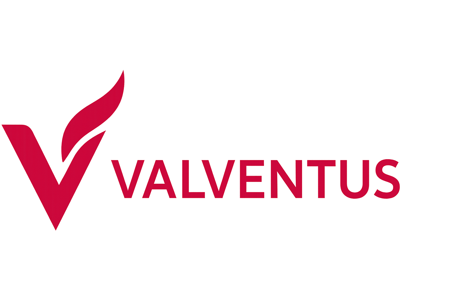 Valventus - Software Development